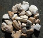 pebbles Siena